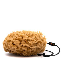 GĄBKA PLASTER MIODU rozm. M