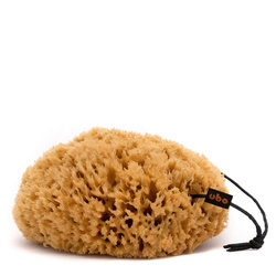 GĄBKA PLASTER MIODU rozm. L