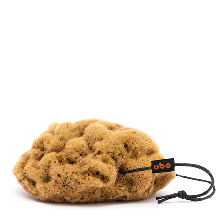 GĄBKA JEDWAB rozm. M