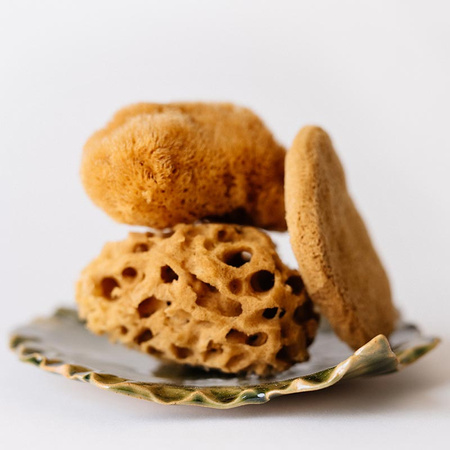 UBO Gąbka Set + Ceramiczny Talerzyk