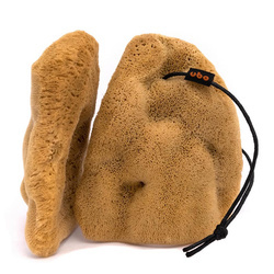 Gąbka Ucho Słonia Rozmiar S