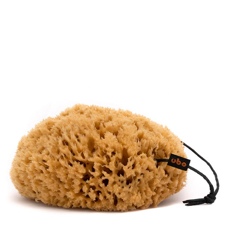 GĄBKA PLASTER MIODU rozm. L