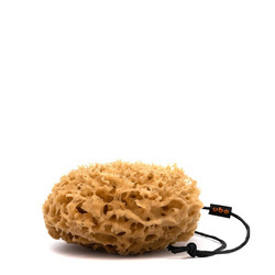 Gąbka Plaster Miodu Rozmiar S