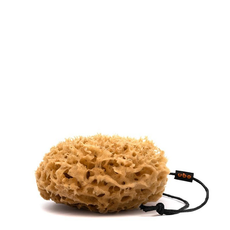 Gąbka Plaster Miodu Rozmiar S