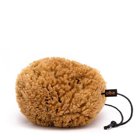 GĄBKA TRAWA rozm. M